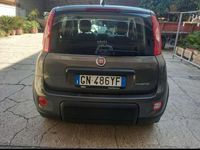 Usata Fiat Panda City Life 69 CV (50 kW) 2023 Utilitaria