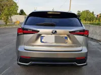 Usata Lexus NX300h Business Edition 155 CV (114 kW) 2018 Grigio SUV