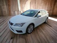 usata Seat Leon 1.5 TGI DSG METANO XCELLENCE