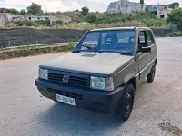 Usata Fiat Panda 4x4 1992 Verde Utilitaria