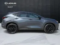 Usata Lexus NX300h Sport Line 243 CV (178 kW) 2022 Grigio SUV