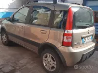Usata Fiat Panda 60 CV (44 kW) 2008 Verde Utilitaria