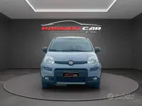 Usata Fiat Panda 4x4 S 86 CV (63 kW) 2018 Grigio Utilitaria