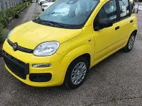 Nuova Fiat Panda Icon 65 CV (47 kW) 2026 Giallo Utilitaria