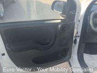 Usata Fiat Panda S 70 CV (51 kW) 2023 Bianco Utilitaria