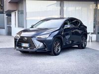 Usata Lexus NX300h 190 CV (139 kW) 2022 Grigio SUV