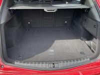 Usata Alfa Romeo Stelvio Business 190 CV (139 kW) 2022 SUV