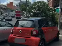 Usata Smart ForFour 90 CV (66 kW) 2016 Rosso Utilitaria