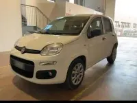 Usata Fiat Panda 80 CV (58 kW) 2015 Utilitaria