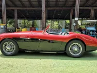 Usata Austin Healey 100 90 CV (66 kW) 1954 Rosso Cabrio
