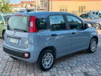 Usata Fiat Panda Easy 69 CV (50 kW) 2018 Grigio Utilitaria