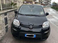 Usata Fiat Panda S 69 CV (50 kW) 2024 Utilitaria