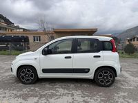Usata Fiat Panda Easy 95 CV (69 kW) 2017 Utilitaria