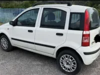 Usata Fiat Panda Dynamic 60 CV (44 kW) 2009 Bianco Utilitaria