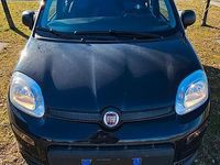 Usata Fiat Panda S 70 CV (51 kW) 2024 Nero Utilitaria