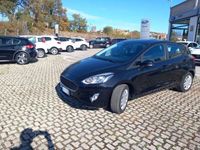 usata Ford Fiesta 1.5 EcoBlue 5 porte Business del 2020 usata a Teramo