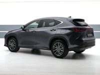 Usata Lexus NX350h 190 CV (139 kW) 2023 Antracite SUV