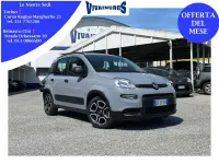 Usata Fiat Panda S 69 CV (50 kW) 2021 Grigio Utilitaria