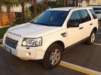 Usata Land Rover Freelander 2 160 CV (117 kW) 2009 Bianco SUV