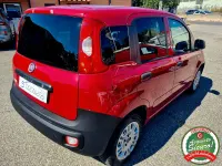 Usata Fiat Panda 80 CV (58 kW) 2016 Rosso Utilitaria