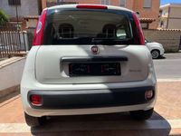 Immagine 3