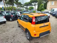 Usata Fiat Panda Trekking 85 CV (62 kW) 2014 Arancione Utilitaria