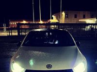 Immagine 3