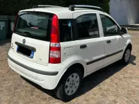 Usata Fiat Panda Dynamic 60 CV (44 kW) 2009 Bianco Utilitaria