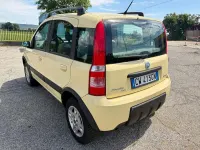 Usata Fiat Panda 4x4 Climbing 60 CV (44 kW) 2005 Giallo Utilitaria