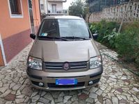 Usata Fiat Panda Dynamic 60 CV (44 kW) 2009 Bronzo Utilitaria