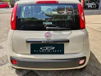 Usata Fiat Panda Lounge 69 CV (50 kW) 2016 Beige Utilitaria