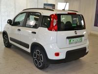 usata Fiat Panda 1.0 - my21 1.0 70cv hybrid city life