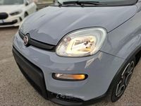 Usata Fiat Panda City Life 70 CV (51 kW) 2022 Grigio Utilitaria