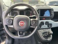 usata Fiat Panda Cross Panda 1.0 hybrid 70cv