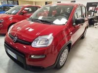 Usata Fiat Panda S 69 CV (50 kW) 2024 Rosso Utilitaria