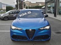 usata Alfa Romeo Stelvio 2.2 Turbodiesel 210 CV AT8 Q4