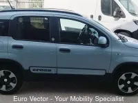 Usata Fiat Panda Cross Cross 69 CV (50 kW) 2020 Grigio Utilitaria