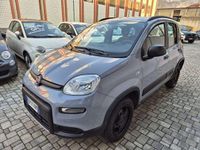 Usata Fiat Panda 4x4 Wild 86 CV (63 kW) 2023 Grigio / pastello Utilitaria