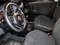Usata Fiat Panda Cross Cross 69 CV (50 kW) 2024 Rosso Utilitaria
