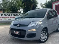 Usata Fiat Panda Easy 69 CV (50 kW) 2020 Grigio Utilitaria
