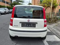 Usata Fiat Panda Dynamic 69 CV (50 kW) 2011 Bianco Utilitaria