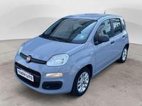 Usata Fiat Panda Easy 69 CV (50 kW) 2021 Grigio Utilitaria