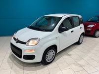 Nuova Fiat Panda 70 CV (51 kW) 2025 Bianco Berlina