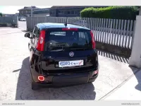 Usata Fiat Panda 69 CV (50 kW) 2023 Nero Utilitaria