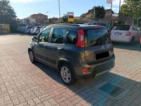 usata Fiat Panda 1.0 FireFly S&S Hybrid City Life