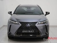 Usata Lexus UX 183 CV (134 kW) 2021 Grigio SUV