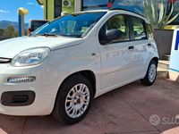 Usata Fiat Panda Easy 69 CV (50 kW) 2014 Bianco Utilitaria