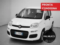 Usata Fiat Panda Easy 69 CV (50 kW) 2016 Bianco Utilitaria