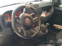 Usata Fiat Panda 4x4 85 CV (62 kW) 2017 Bianco Utilitaria