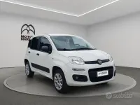 Usata Fiat Panda 4x4 Pop 86 CV (63 kW) 2020 Bianco Utilitaria